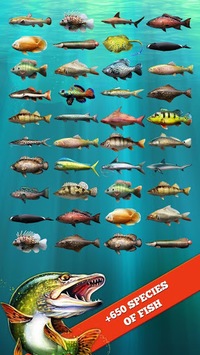 Let's Fish: Sport Fishing Games. Fishing Simulator APK screenshot 1