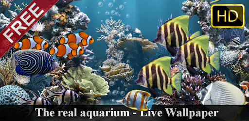 Install The real aquarium - HD on PC install The real aquarium - HD on PC