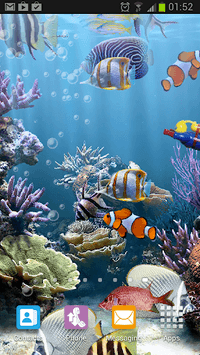 The real aquarium - HD APK screenshot 1 The real aquarium - HD APK screenshot 1