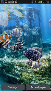 The real aquarium - HD APK screenshot 1 The real aquarium - HD APK screenshot 1