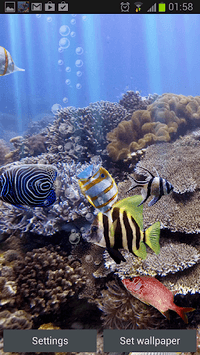 The real aquarium - HD APK screenshot 1 The real aquarium - HD APK screenshot 1