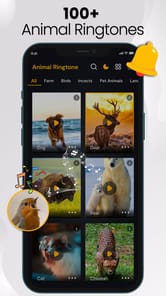 Animal sounds & wallpaper APK screenshot 1