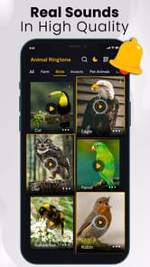 Animal sounds & wallpaper APK screenshot 1