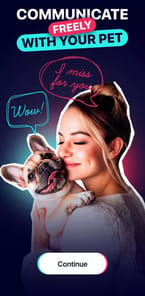 DogTok APK screenshot 1