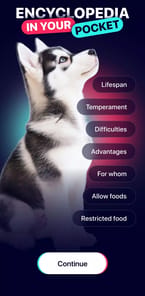DogTok APK screenshot 1