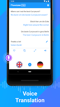 iTranslate Translator & Dictionary APK screenshot 1