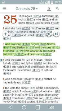 Bible Concordance & Strongs APK screenshot 1