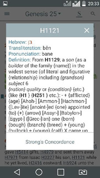 Bible Concordance & Strongs APK screenshot 1