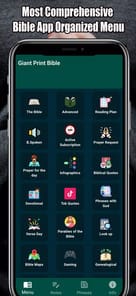 Giant Print Bible APK screenshot 1