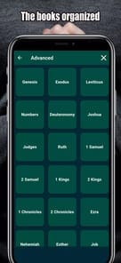 Giant Print Bible APK screenshot 1