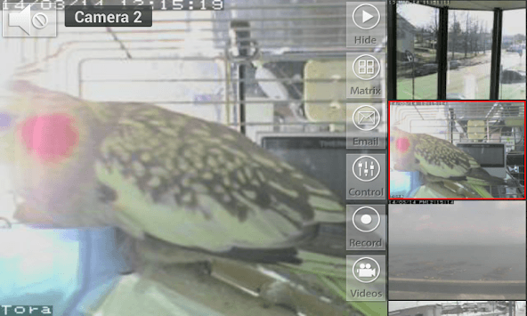 Viewer for Elro cameras APK screenshot 1