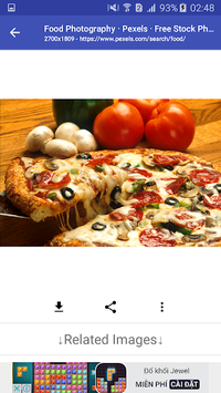 Image Downloader APK screenshot 1