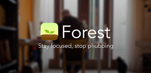 Install Forest: Stay focused on PC install Forest: Stay focused on PC
