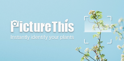Install PictureThis - Flower & Plant Identification on PC install PictureThis - Flower & Plant Identification on PC