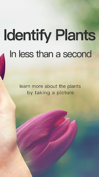 PictureThis - Flower & Plant Identification APK screenshot 1 PictureThis - Flower & Plant Identification APK screenshot 1