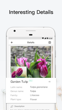 PictureThis - Flower & Plant Identification APK screenshot 1 PictureThis - Flower & Plant Identification APK screenshot 1