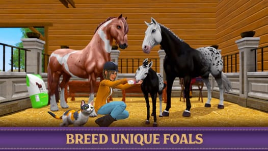 Star Equestrian APK screenshot 1 Star Equestrian APK screenshot 1