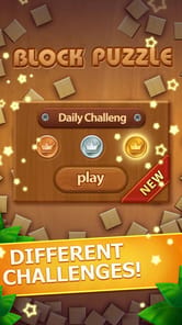 Wood Block Puzzle APK screenshot 1