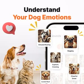 Human to Dog Translator APK screenshot 1
