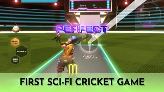Cricket Fly APK screenshot 1