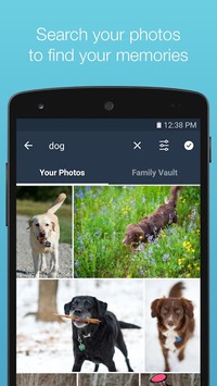 Amazon Photos APK screenshot 1
