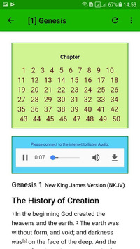 NKJV Audio Bible Free App. APK screenshot 1