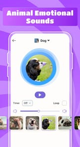 Cat & Dog Translator Simulator APK screenshot 1