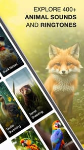 Animal Sounds APK screenshot 1