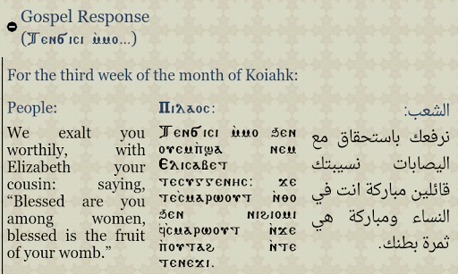 Coptic Reader APK screenshot 1 Coptic Reader APK screenshot 1