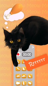 Cat Translator APK screenshot 1