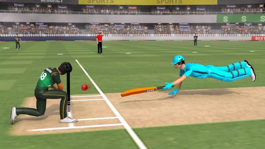 Real World Cricket Games APK screenshot 1