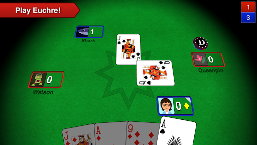 Euchre 3D APK screenshot 1