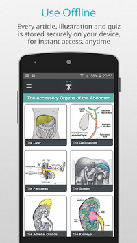 Teach Me Anatomy APK screenshot 1