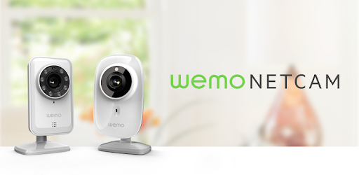 install Belkin NetCam on PC
