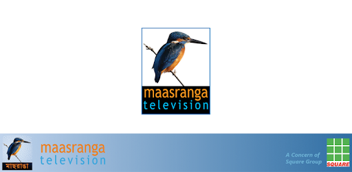 install maasranga television on PC