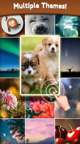 Dice Puzzle APK screenshot 1