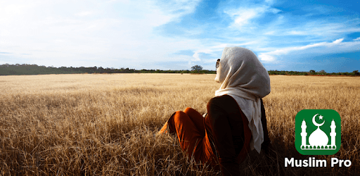 install Muslim Pro - Prayer Times, Azan, Quran & Qibla on PC