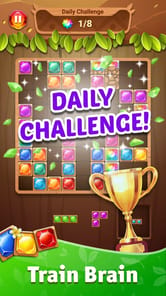 Block Puzzle APK screenshot 1