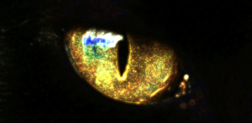 install New Catcheye Plus on PC