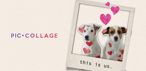 install PicCollage - #1 Photo Collage Editor & Card Maker on PC