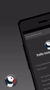 Puffin Incognito Browser APK screenshot 1