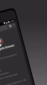 Puffin Incognito Browser APK screenshot 1