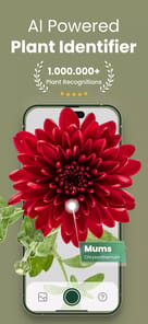 Plantify APK screenshot 1