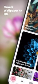 Cool Flower Wallpapers APK screenshot 1