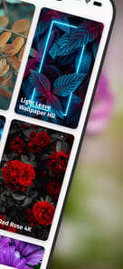 Cool Flower Wallpapers APK screenshot 1