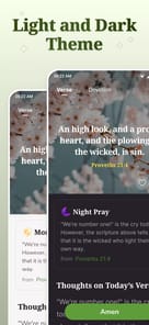DailyBible Lite - KJV Version APK screenshot 1