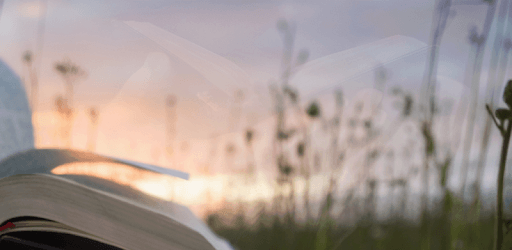 install NASB Bible Offline free on PC