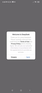 DeepSeek APK screenshot 1