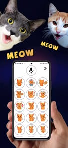 Human to Cat Translator APK screenshot 1