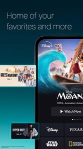 Disney+ APK screenshot 1